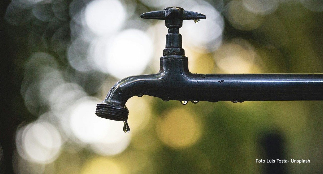 Una intelligenza artificiale di acqua dolce