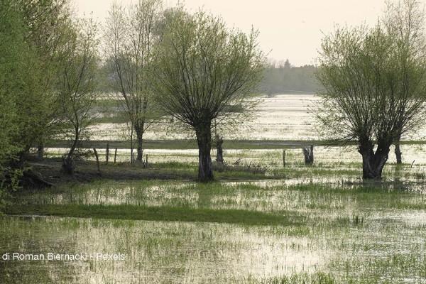 Il climate change divide l’Italia: pioggia al Nord e siccità al Sud