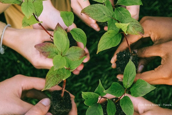 Nuove regole delle Nazioni unite per il mercato del carbonio