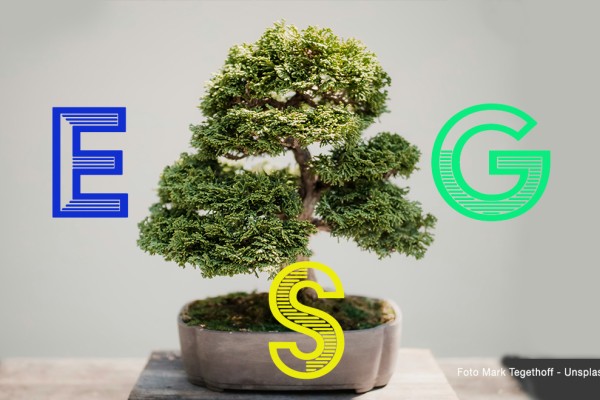 Contributi per certificazioni ESG da Cciaa Emilia